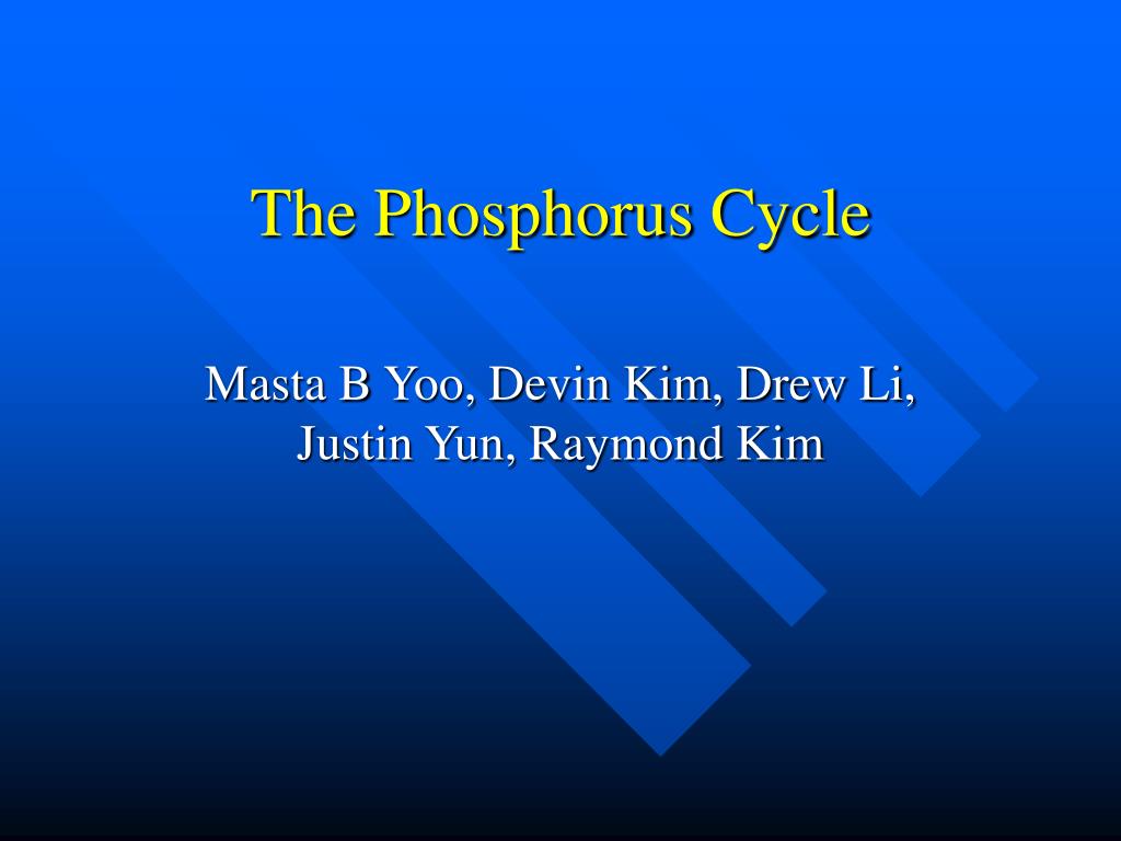 PPT - The Phosphorus Cycle PowerPoint Presentation, free download - ID ...