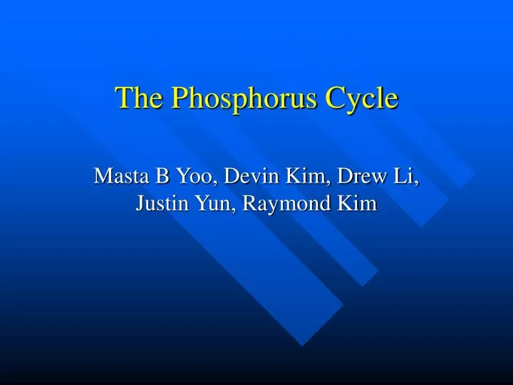 the phosphorus cycle