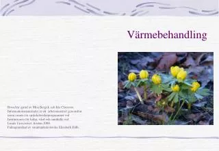 v rmebehandling