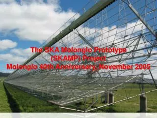 The SKA Molonglo Prototype (SKAMP) Project Molonglo 40th Anniversary, November 2005