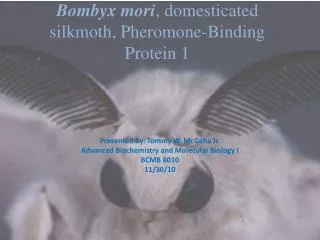 Bombyx mori , domesticated silkmoth, Pheromone-Binding Protein 1