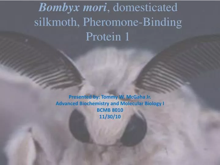 bombyx mori domesticated silkmoth pheromone binding protein 1