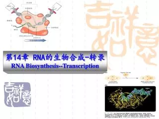 ? 14 ? RNA ????? - ?? RNA Biosynthesis--Transcription