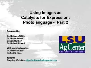 Using Images as Catalysts for Expression: Photolanguage - Part 2