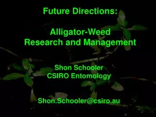 Future Directions: Alligator-Weed Research and Management