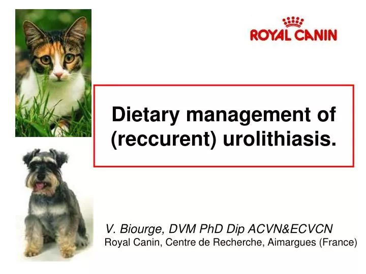 dietary management of reccurent urolithiasis