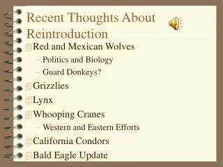 Recent Thoughts About Reintroduction