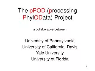 The pPOD ( p rocessing P hyl OD ata) Project