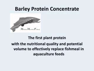 Barley Protein Concentrate