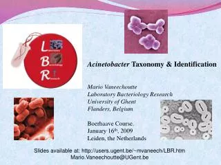 Acinetobacter Taxonomy &amp; Identification Mario Vaneechoutte Laboratory Bacteriology Research University of Ghent Fla