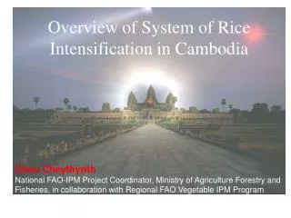 Overview of System of Rice Intensification in Cambodia Chou Cheythyrith