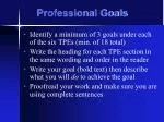Professional Goals - slide 1