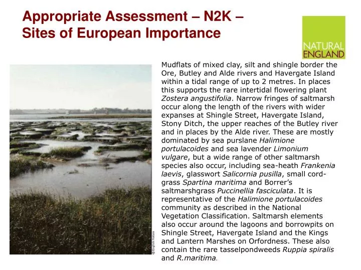 appropriate assessment n2k sites of european importance