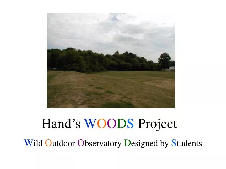 hand s w o o d s project