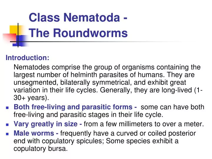 class nematoda the roundworms