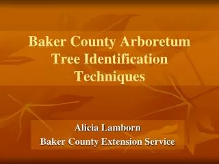 Baker County Arboretum Tree Identification Techniques