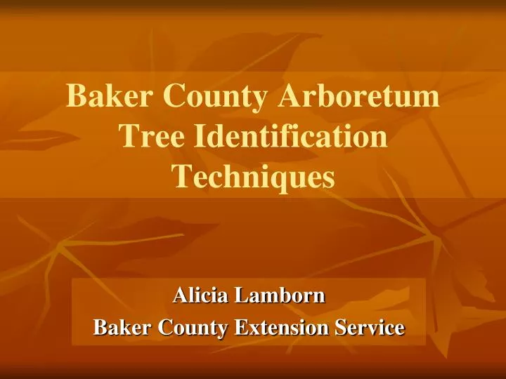baker county arboretum tree identification techniques