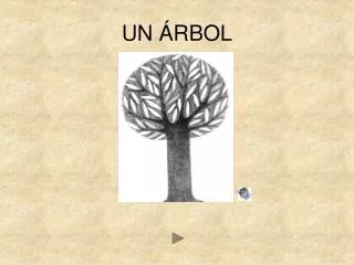 un rbol