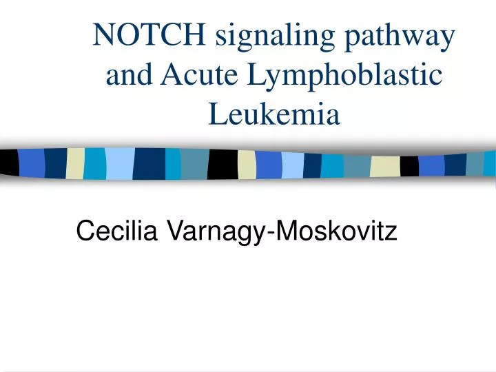 notch signaling pathway and acute lymphoblastic leukemia