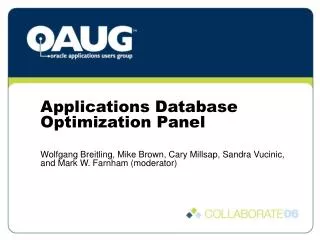 Applications Database Optimization Panel