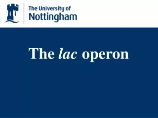 The lac operon