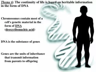 Theme 6 : The continuity of life is based on heritable information in the form of DNA