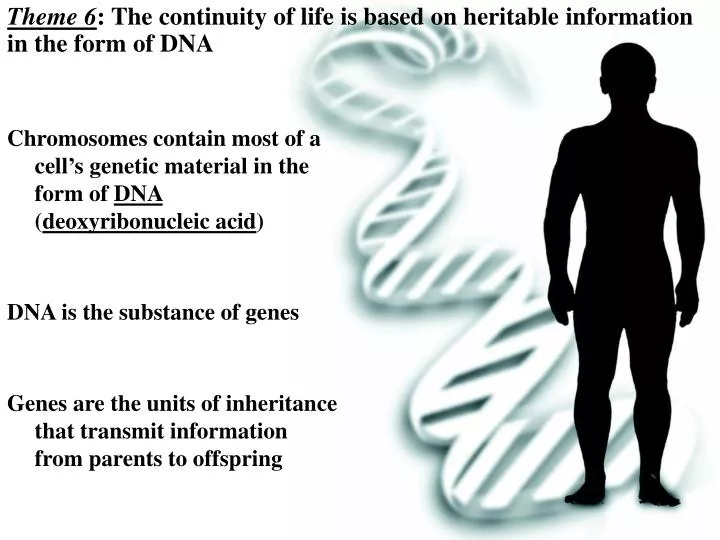 theme 6 the continuity of life is based on heritable information in the form of dna
