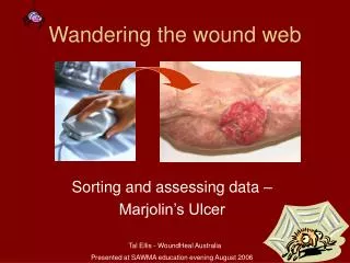 Wandering the wound web
