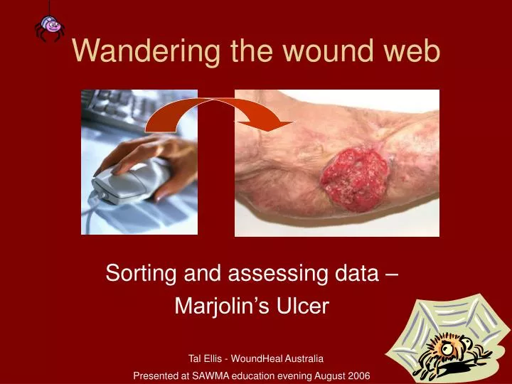 wandering the wound web