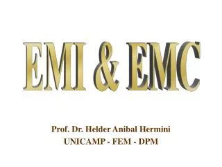 prof dr helder anibal hermini unicamp fem dpm