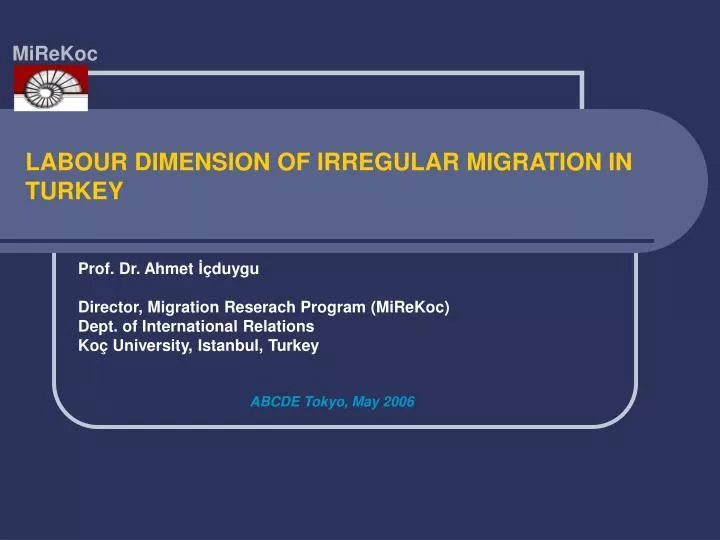 labour dimension of irregular migration in turkey