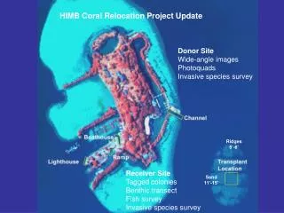 HIMB Coral Relocation Project Update