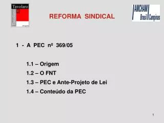 REFORMA SINDICAL