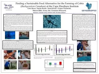 Finding a Sustainable Feed Alternative for the Farming of Cobia ( Rachycentron Canadum ) at the Cape Eleuthera Institute