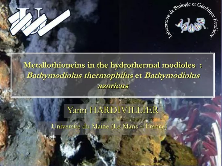metallothioneins in the hydrothermal modioles bathymodiolus thermophilus et bathymodiolus azoricus