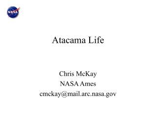 Atacama Life