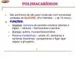 POLISSACARÍDEOS - slide 1