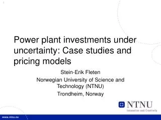 Power plant investments under uncertainty: Case studies and pricing models