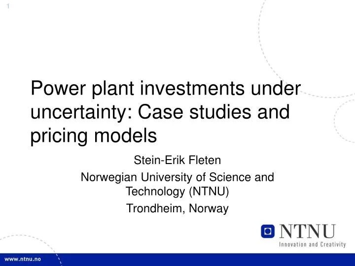 power plant investments under uncertainty case studies and pricing models
