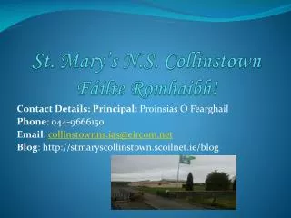 St. Mary’s N.S. Collinstown Fáilte Romhaibh !
