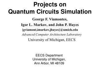 Projects on Quantum Circuits Simulation