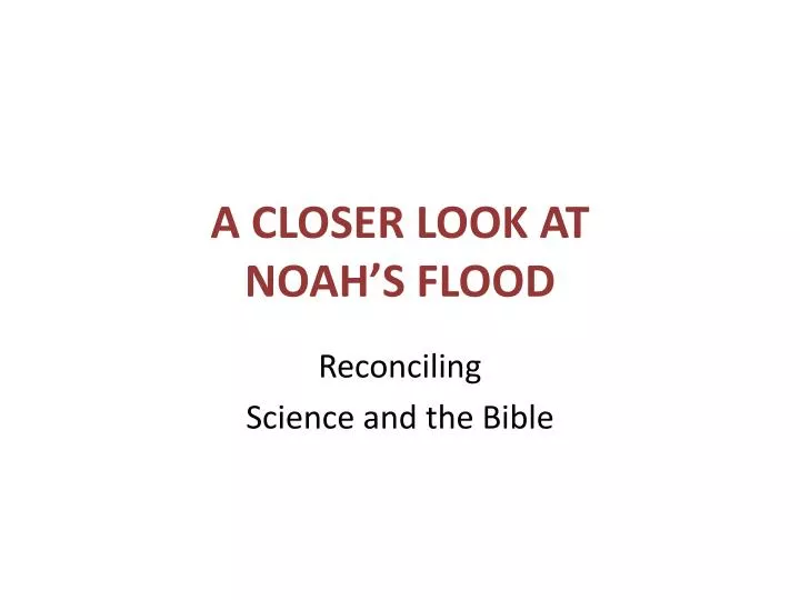 a closer look at noah s flood