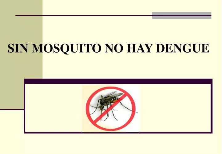 sin mosquito no hay dengue