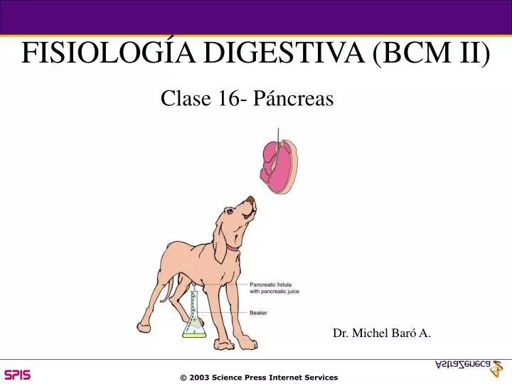 fisiolog a digestiva bcm ii