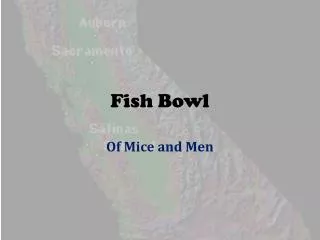 Fish Bowl