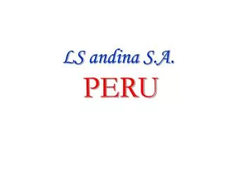 LS andina S.A. PERU