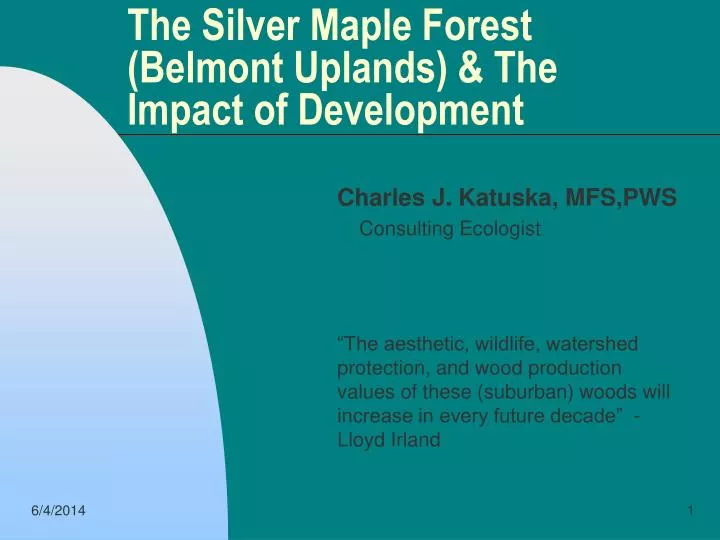 the silver maple forest belmont uplands the impact of development