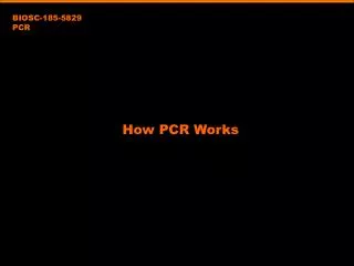 How PCR Works