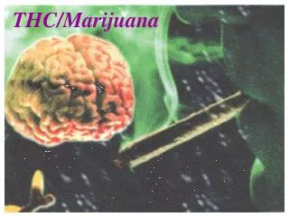 THC/Marijuana