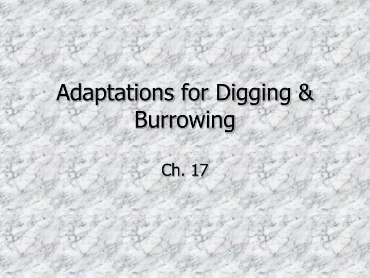 adaptations for digging burrowing